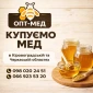 Купуємо мед оптом від 300 кг у Черкасах - фото № 1