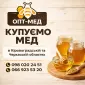 Закупаем мед от 300 кг. Черкасская обл - фото № 1