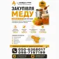 Оптовая закупка меда подсолнечного у населения АМЕДА ГРУП - фото № 1