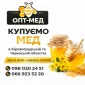 Купуємо мед без антибіотика від 300 кг - фото № 1