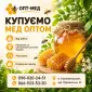Оптовая закупка меда 300 кг. - фото № 1