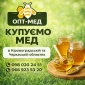 Покупаем мед подсолнечниковый в Ровенской области - фото № 1