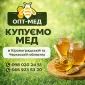Купуємо МЕД соняшниковий в Кіровоградській обл - фото № 1