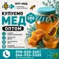 Купаем МЕД подсолнечниковый в Кировоградской области - фото № 1