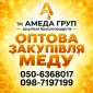 Купаем мед подсолнечника АМЕДА ГРУП - фото № 1