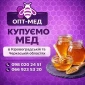 Закупаем мед оптом без антибиотиков - фото № 1