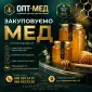 Закуповуємо МЕД по усій Кіровоградській обл. OPT-MED - фото № 1