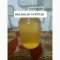 Продам натуральний бджолиний мед з акації 1л 300грн - фото № 1