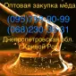 Золотой Нектар" Оптовая закупка меда (Кривой Рог) - фото № 1