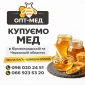 Купуємо мед оптом - фото № 1