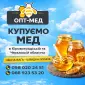 Закупівля меду з СОНЯХА в центральних регіонах. ОПТ-МЕД - фото № 1