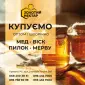 Купуємо мед від 500кг - фото № 1