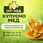 Закупка меда оптом с выездом - фото № 1