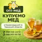 Оптова закупівля меду. Виїзд наш. ОПТ-МЕД - фото № 1