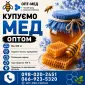 Закупаем МЕД ОПТОМ в центральных областях - фото № 1