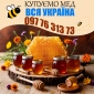 Принимаем мёд крупным оптом (от 500 кг). Вся УКРАИНА - фото № 1