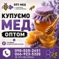 ОПТ-МЕД закупаем мед у населения. ОПТ-МЕД - фото № 1