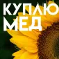 КУПЛЮ МЕД в Полтавской области - фото № 1
