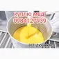 Предприятие покупает мед от 300кг для экспорта - фото № 1