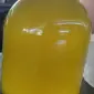 Продам мед майский рапс - фото № 1