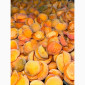 Абрикос шокова заморозка - фото № 1