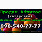 Реалізую Абрикос Каліровка, на постійній основі, свіжий урожай - фото № 1