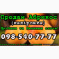 Продам Абрикос (калировка) за договірною ціною на постійній основі - фото № 1