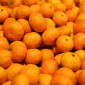 Мандарины Оптом Климентин Сатсума - фото № 1