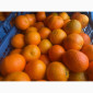 Продаємо мандарин Клементин, Греція, опт зі складу у Києві - фото № 3
