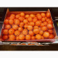 Мандарины испания опт - фото № 2