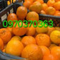 Продам мандарины оптом турция - фото № 1