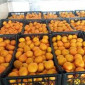Продам мандарины оптом грузия - фото № 1