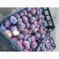 Сливка, свіжі плоди на продаж - фото № 8