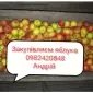 Куплю яблука на переробку - фото № 1