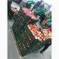 Продам яблука від виробника від 20 тонн - фото № 15