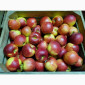 Покупаем яблоки разных сортов оптом - фото № 3
