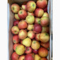 Яблоки оптом - фото № 1