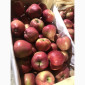 Яблоки оптом - фото № 5