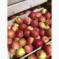 Яблоки оптом - фото № 9