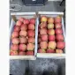 Продам яблоки Фуджи - фото № 4