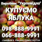 Купуємо яблука (куплю яблоки) на переробку (пюре, сік, повідло, сок) оптом, Днепр, Харьков - фото № 1