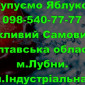 На постійній основі закуповуємо яблуко 2024року збору!Договірна Ціна - фото № 1