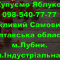 На постійній основі закуповую яблуко дрібним та великим оптом від населення і заготувачів - фото № 1