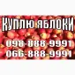 Куплю яблоки от 10 тонн на переработку (сок - фото № 1