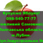 Підприємство на постійній основі закуповує яблуко дрібним та великим оптом - фото № 1