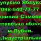 На постійній основі закуповуємо яблуко врожаю 2024року - фото № 1