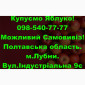 На постійній основі закуповуємо яблуко врожаю 2024року!Дорого - фото № 1