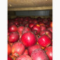 Продам яблука - фото № 5