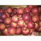 Продам высококачественное яблока, сорт Айдаред - фото № 1