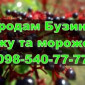 Продаю морожену бузину!Ціна договірна - фото № 1